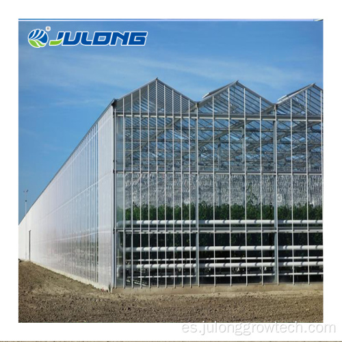 Venlo Glass invernadero para el precio agrícola Tamaño personalizado